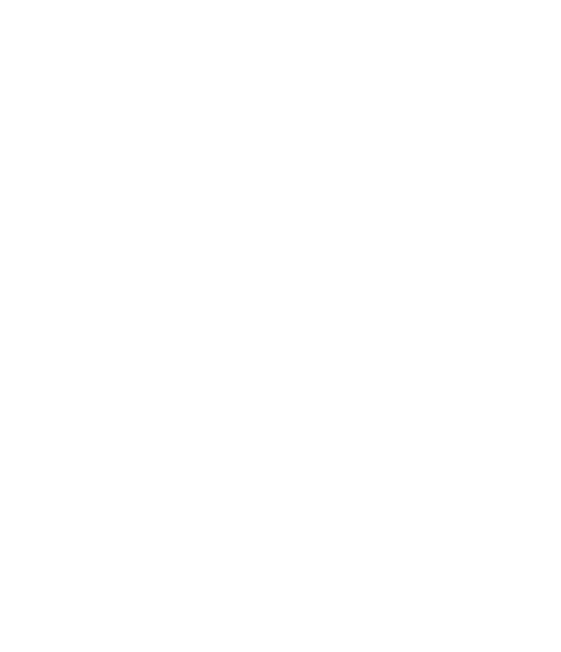 Logo Pariani